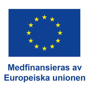 Europeiska Unionen och Europeiska Socialfonden logotyp