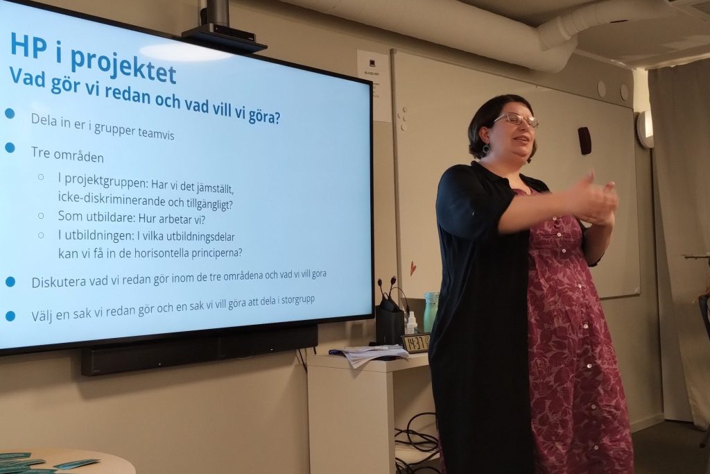 Johanna Lindblad föreläser om horisontella principer